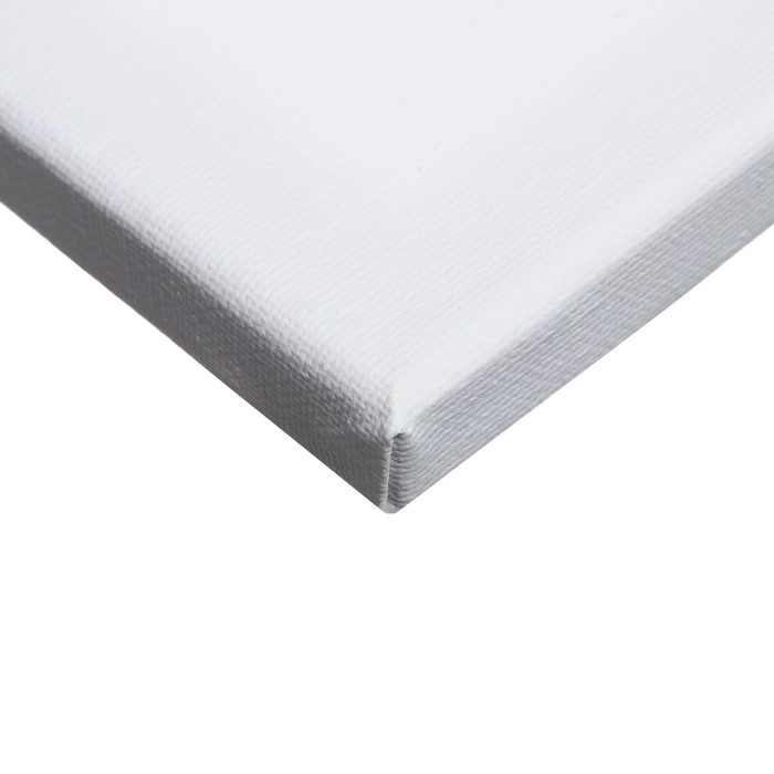 Холст на подрамнике Calligrata,1,6 x 30 x 40 см, м/з 280г/м&sup2;, хлопок 100%, грунтованный, акриловый, мелкозернистый
