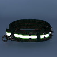 Ошейник четырехслойный светоотражающий с вертлюгом, 65 х 4 см, зелёный