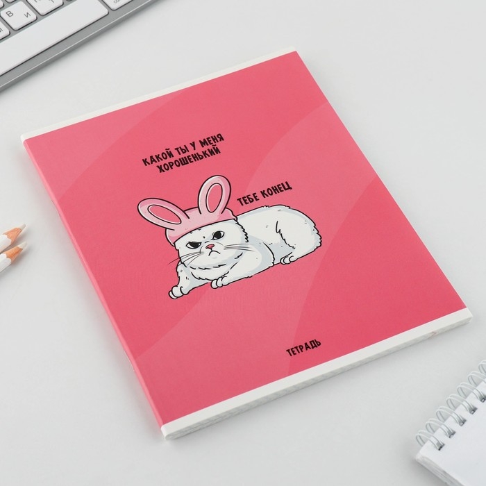 Тетрадь в клетку, 48 листов А5 на скрепке МИКС &laquo;1 сентября: Котики&raquo;, обложка мелованный картон 230 гр внутренний блок №1, белизна 96%