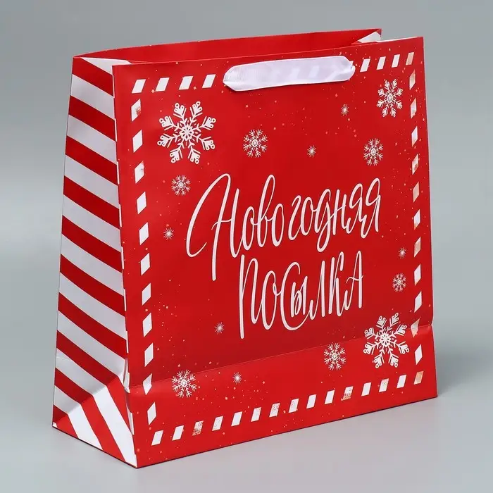 Набор пакетов ламинированных &laquo;Снежного Нового года&raquo;