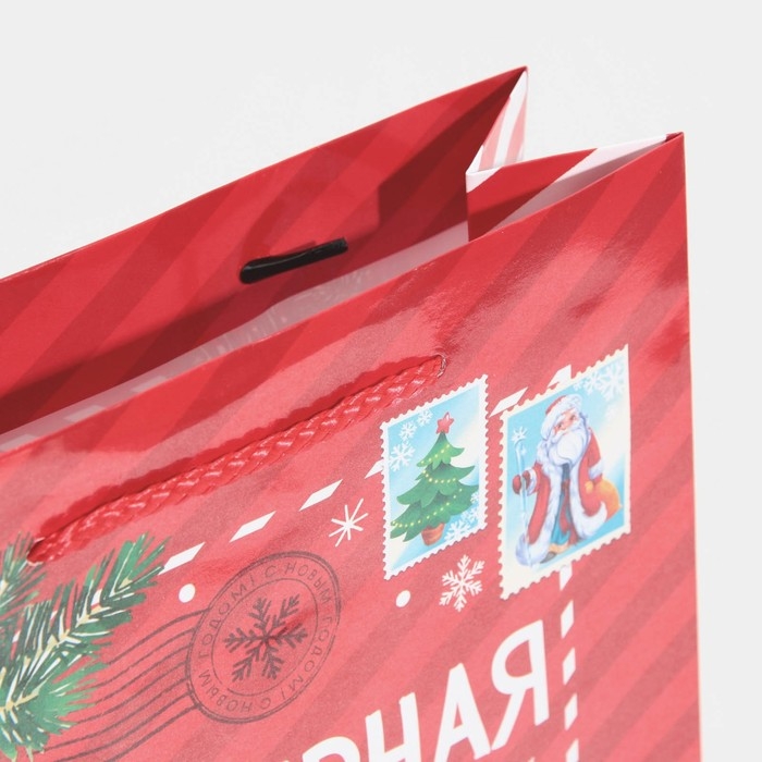 Пакет подарочный новогодний ламинированный &laquo;Полярная почта&raquo;, ML 21 х 25 х 8 см