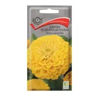 Семена цветов Цинния георгиноцветковая "Птичка канарейка" 0,4 г
