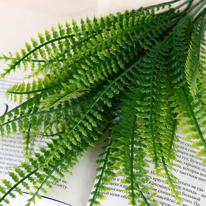 Букет Букет "Лесной папоротник" 28 см