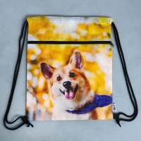 Мешок для обуви &laquo;Забавный корги&raquo; 2 секции, 30&times;40 см