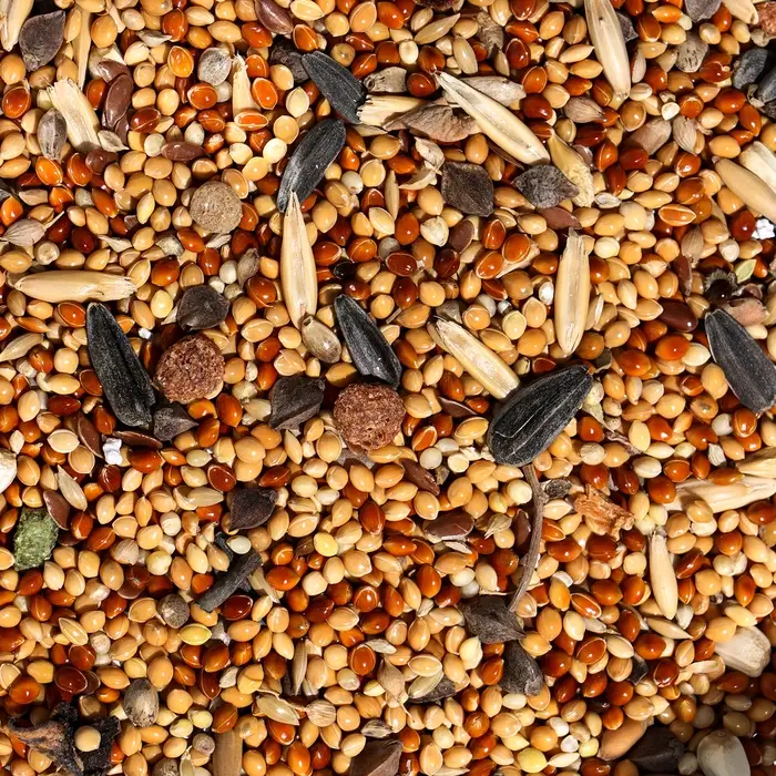 Корм &laquo;Верные друзья&raquo; для карелл и неразлучников, овощи/фрукты, 500 г