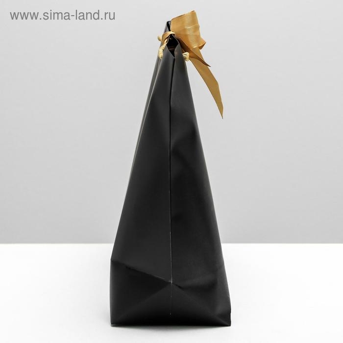 Пакет подарочный, упаковка, Present, 33 х 31 х 13 см