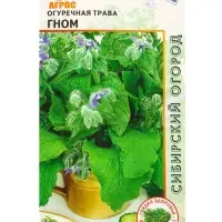 Семена Огуречная трава "Гном" 0,5 г