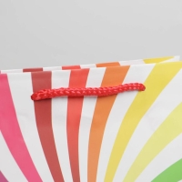 Пакет подарочный ламинированный, упаковка, &laquo;Поздравляю&raquo;, ML 21 х 25 х 8 см