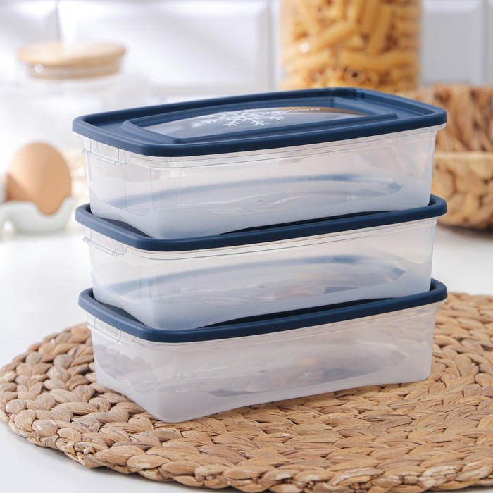 Набор контейнеров для замораживания продуктов &laquo;Морозко&raquo;, 3 шт, 700 мл, цвет прозрачный, крышки МИКС