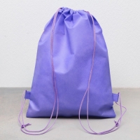 Мешок для обуви &laquo;Единорог&raquo;  полиэстер, размер 30 х 40 см