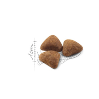 Сухой корм RC Indoor для кошек живущих в помещении, 10 кг Сухой корм RC Indoor для кошек живущих в помещении, 10 кг