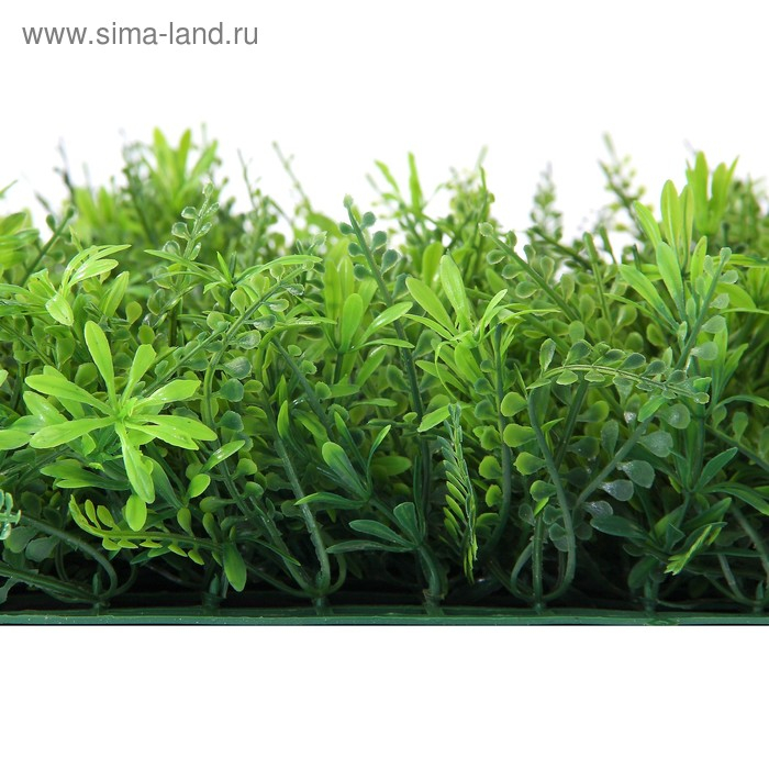 Декоративная панель, 40 &times; 60 см, &laquo;Разнотравье&raquo;, Greengo