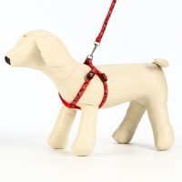 Комплект прошитый "Милитари", ширина 1 см, поводок 120 см, шлейка 23-35 см, красный Комплект прошитый "Милитари", ширина 1 см, поводок 120 см, шлейка 23-35 см, красный