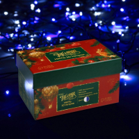 Гирлянда &laquo;Нить&raquo; 10 м, IP44, тёмная нить, 100 LED, свечение бело-синее, мигание, 220 В