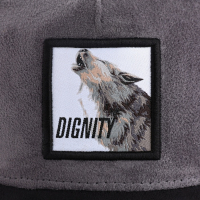 Кепка мужская с сеткой DIGNITY, цвет чёрный, р-р 56