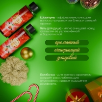 Новогодний подарочный набор косметики &laquo;Зимняя сказка&raquo;, с ароматом мандарина и корицы. Красная серия