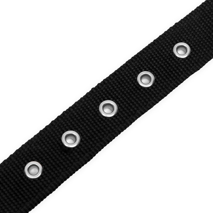 Ошейник двухслойный с вертлюгом, 55 х 2,5 см, полиэстер, черный