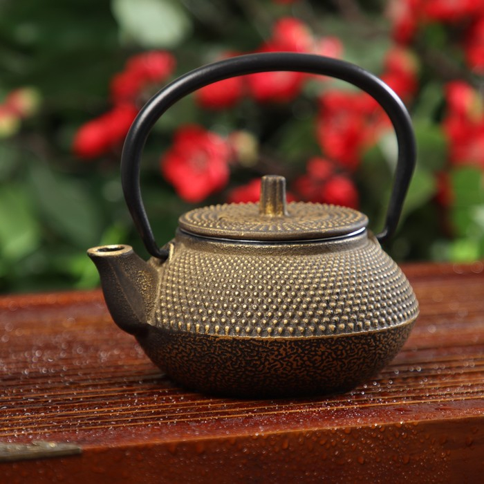 Чайник для плиты Доляна &laquo;Восточная ночь. Золото&raquo;, 300 мл, с ситом, чугун, индукция, цвет золотой