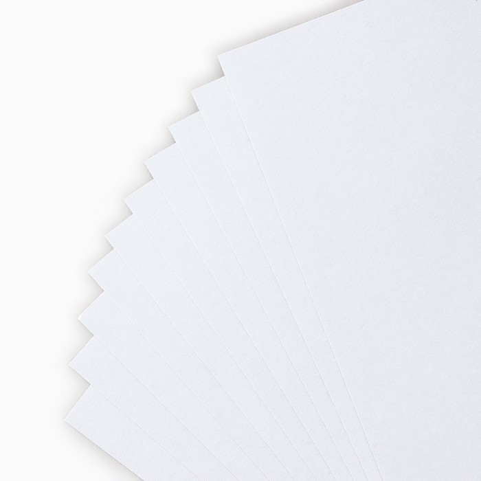 Картон белый А4 немелованный односторонний 10 листов &laquo;1 сентября: Енотик&raquo; 200 гр