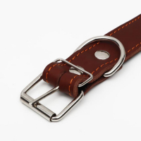 Ошейник кожаный на синтепоне, 70 х 3,5 см, ОШ 45-60 см, коричневый Ошейник кожаный на синтепоне, 70 х 3,5 см, ОШ 45-60 см, коричневый