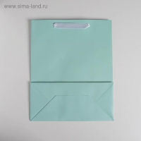 Пакет подарочный, упаковка, &laquo;Мятный&raquo;, 26 х 32 х 12 см