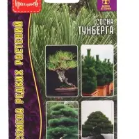 Семена цветов Сосна Тунберга  10 шт.  12.29 г.
