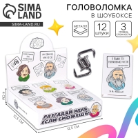 Головоломка &laquo;Для интеллектуалов&raquo; металл, МИКС, в шоубоксе