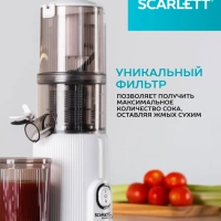 Соковыжималка шнековая SC-JE50S63