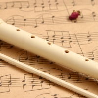 Блокфлейта Music Life, 8 отверстий, немецкая система, сопрано Блокфлейта Music Life, 8 отверстий, немецкая система, сопрано