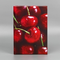 Папка для документов &laquo;Docs&raquo;, 8 файлов А4