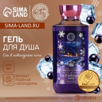 Гель для душа URAL LAB «Сон», 295 мл, аромат смородины, Новый Год Гель для душа URAL LAB «Сон», 295 мл, аромат смородины, Новый Год