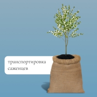 Мешок джутовый, 40 &times; 60 см, плотность 45 &times; 45 нитей, без завязок, Greengo