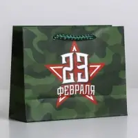 Пакет подарочный ламинированный, упаковка, &laquo;С 23 февраля&raquo;, S 15 х 12 х 5.5 см