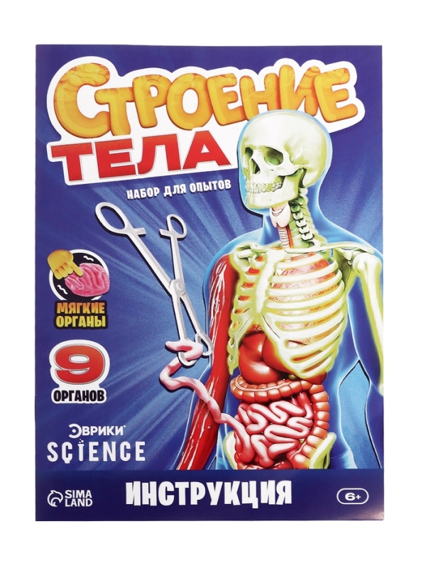 ЭВРИКИ Набор для опытов "Строение тела", светящееся с мягкими органами