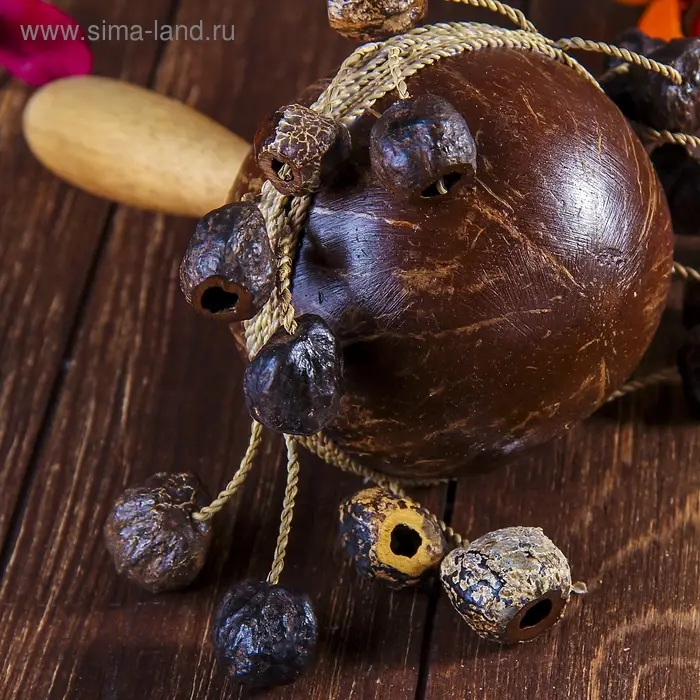 Сувенирный музыкальный инструмент "Маракас" 24х16х16 см