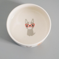 Миска керамическая "Важный пес" 250мл, 11,5 х 5 см, белая Миска керамическая "Важный пес" 250мл, 11,5 х 5 см, белая