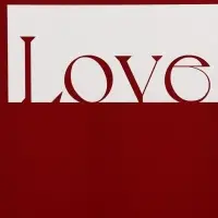 Пленка флористическая, &laquo;Любовь в воздухе&raquo; 65 мкм, винный 58&times;58 см