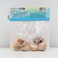 Гладиолус Низкорослый "Лас-Вегас", луковица цветов в пакете с перфорацией, р-р 10+, 7 шт.