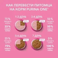 Влажный корм Purinа One для котят, курица/морковь, 75 г