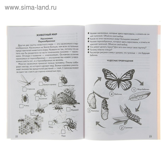 Рабочая тетрадь для детей 5-6 лет &laquo;Знакомимся с окружающим миром&raquo;, Бортникова Е.