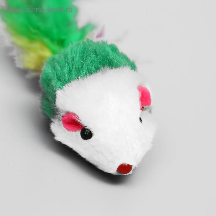 Набор игрушек для кошек: мышь 5 см и шарик с бубенчиком 3,8 см, микс цветов Набор игрушек для кошек: мышь 5 см и шарик с бубенчиком 3,8 см, микс цветов