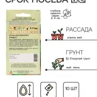 Семена Огурец"Этюд"F1 10шт* КС