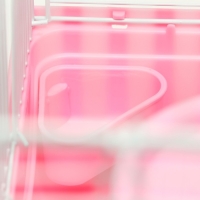 Клетка для грызунов "Пижон" с замком, 31 х 24 х 27 см, розовая Клетка для грызунов "Пижон" с замком, 31 х 24 х 27 см, розовая