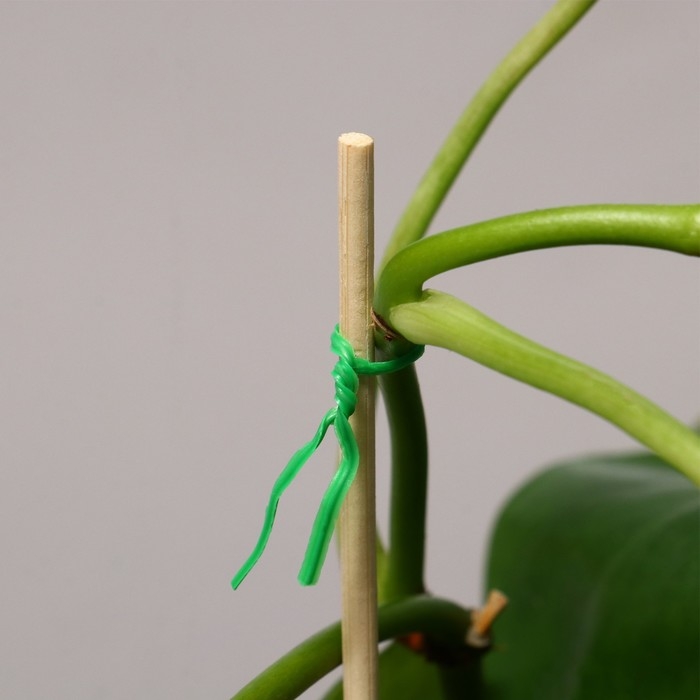 Проволока подвязочная, 100 м, зелёная, Greengo