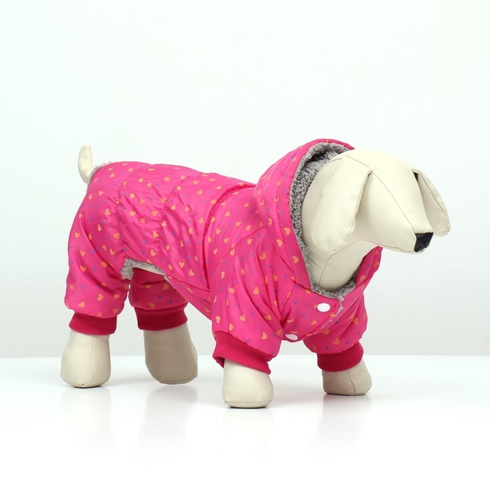 Комбинезон Комбинезон "нежный путь" на меховом подкладе, размер XL (ДС 40, ОШ 40, ОГ 50 см), розовый