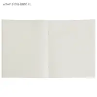 Тетрадь 48 листов в клетку, Calligrata &laquo;Авокадо&raquo;, обложка мелованный картон, МИКС