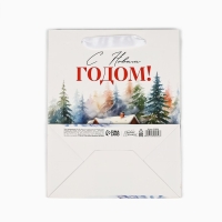 Пакет подарочный новогодний ламинированный &laquo;Зимний лес&raquo;, деревня, MS 18 х 23 х 10 см , Новый год