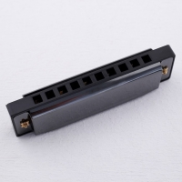 Губная гармошка Music Life, диатоническая, C-major, с футляром, черная Губная гармошка Music Life, диатоническая, C-major, с футляром, черная