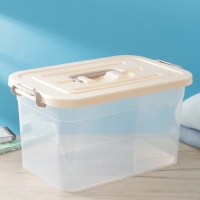 Контейнер для хранения с крышкой Доляна, 10 л, 35,5&times;23,5&times;19 см, цвет бежевый