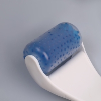 Ледяной роллер, универсальный, 19 &times; 8 см, цвет МИКС